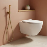 Douchette hygiénique or brossé