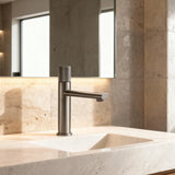 Mitigeur de vaque gris brossé