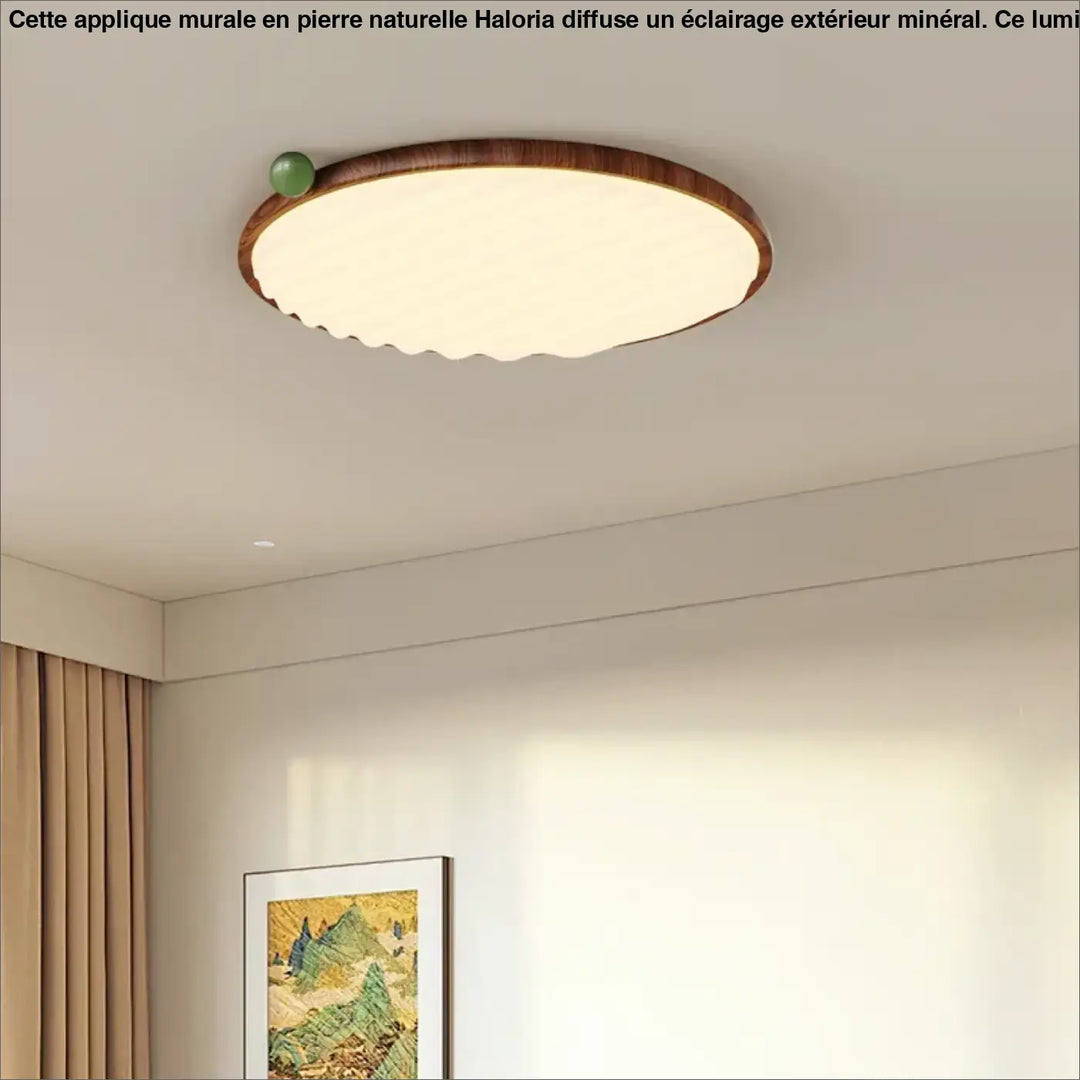 Applique murale ronde avec cadre en bois et accent vert autour d’un miroir pour un éclairage chaud diffuser