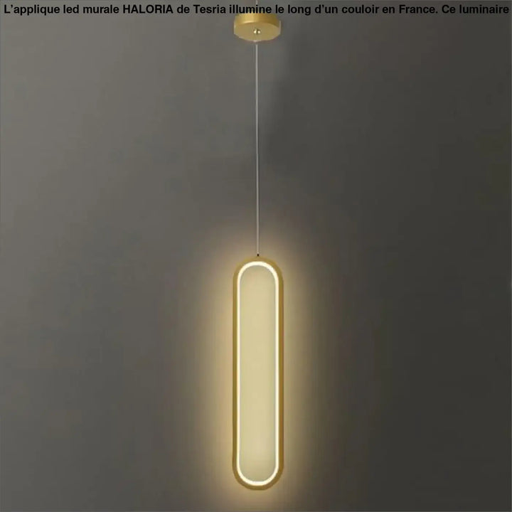 Applique led murale haloria en métal doré moderne avec design ovale allongé et éclairage led chaud