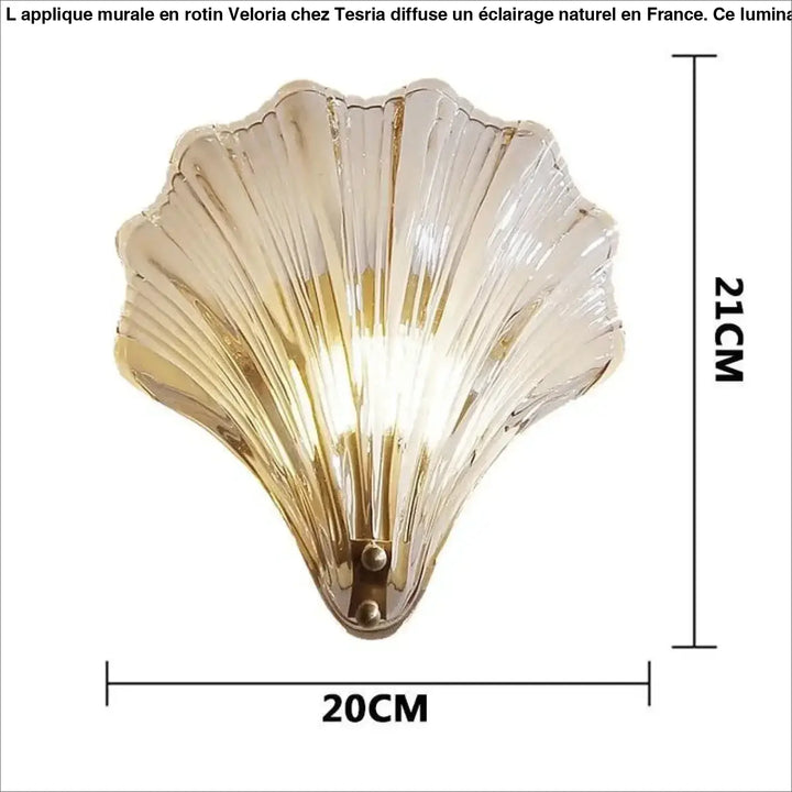 Applique murale rotin veloria avec verre translucide effet coquillage et base métallique dorée idéale pour long d’un couloir