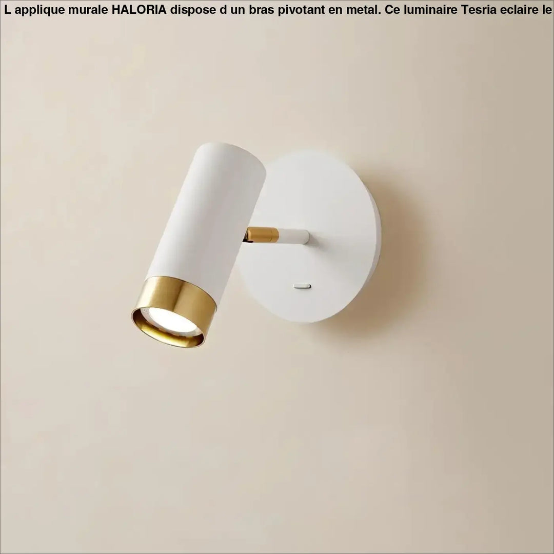 Applique Murale 1 Bras Pivotant Cylindrique