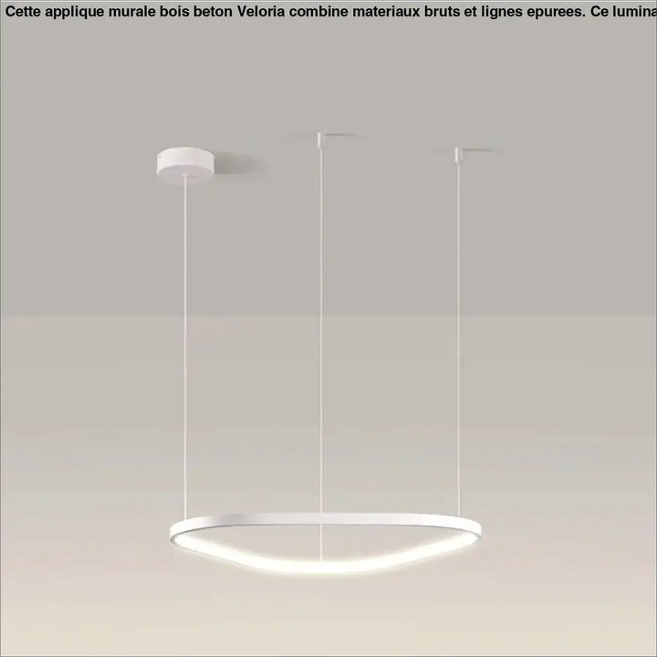 Suspension led noire design ovale moderne réglable blanc noir