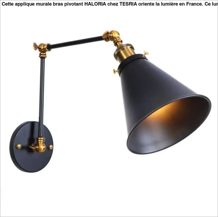 Applique murale bras pivotant style industriel noir mat avec accents en laiton et bras ajustable haloria