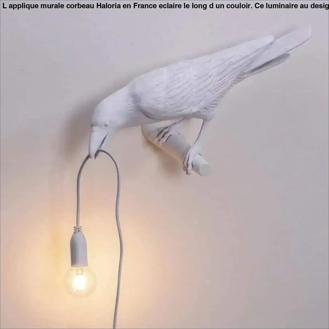 Applique Murale Corbeau Aluminium Noir Blanc