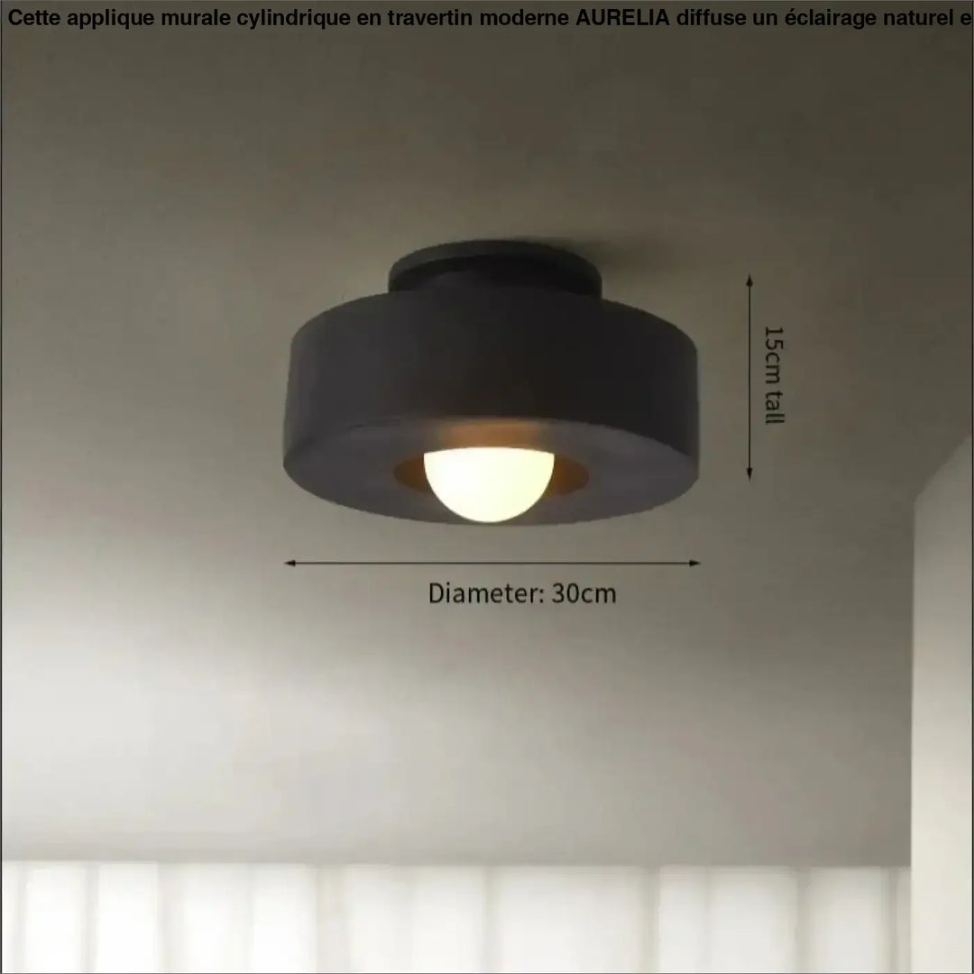 Plafonnier compact style scandinave au design moderne