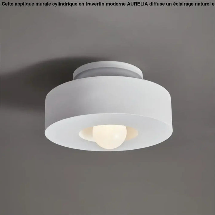 Plafonnier compact style scandinave au design moderne