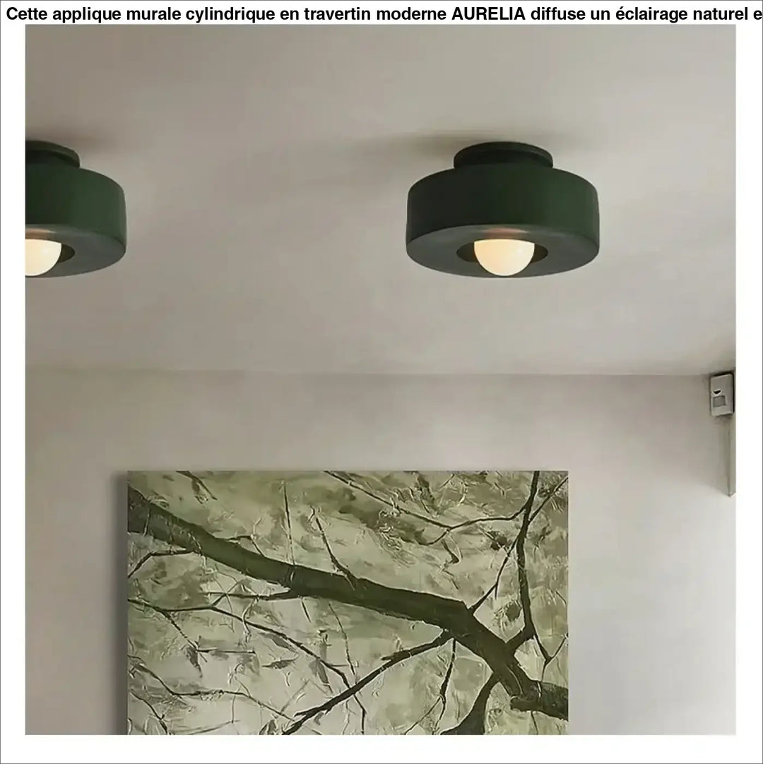 Plafonnier compact style scandinave au design moderne