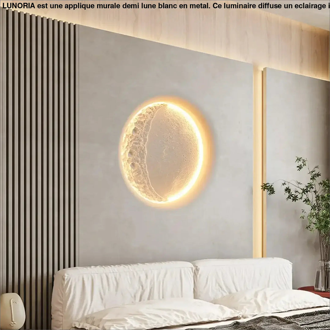 Applique Murale Décorative Demi Lune Acrylique