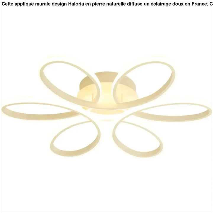 Plafonnier LED Design Moderne À Forme Florale Ovale 