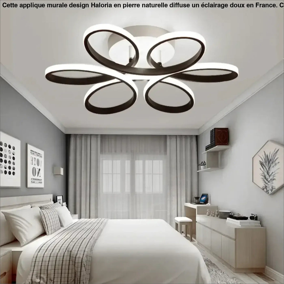 Plafonnier LED Design Moderne À Forme Florale Ovale 