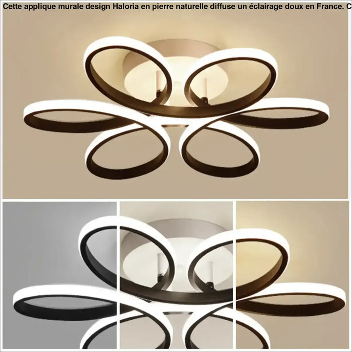 Plafonnier LED Design Moderne À Forme Florale Ovale 