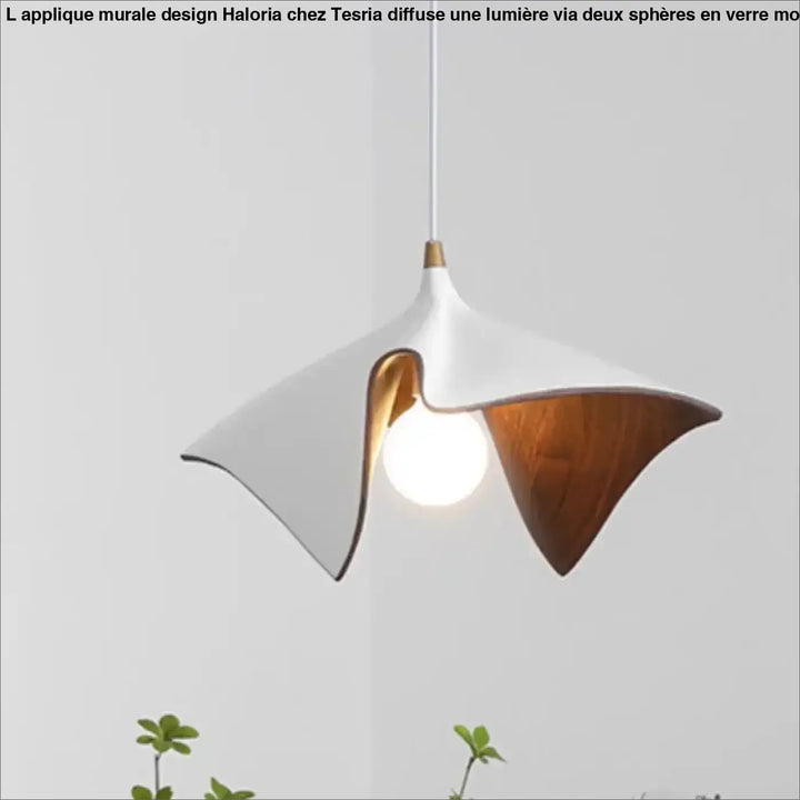 Suspension luminaire contemporaine avec finition bois