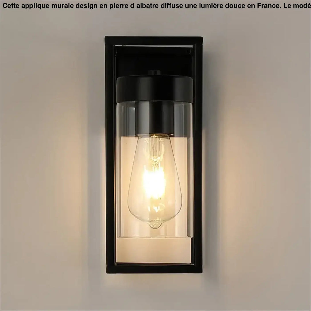 Applique murale noire orion rectangulaire avec panneaux en verre clair et ampoule filament style industriel chic