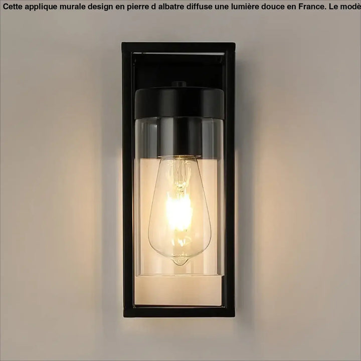Applique murale noire orion rectangulaire avec panneaux en verre clair et ampoule filament style industriel chic