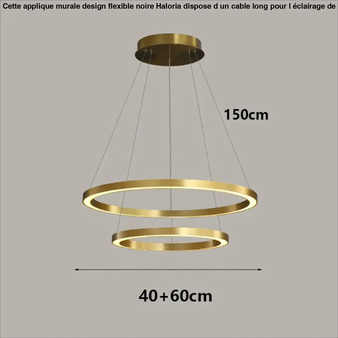 Applique murale design flexible noire avec cable long et double anneau led or moderne en finition minimaliste