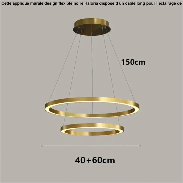 Applique murale design flexible noire avec cable long et double anneau led or moderne en finition minimaliste