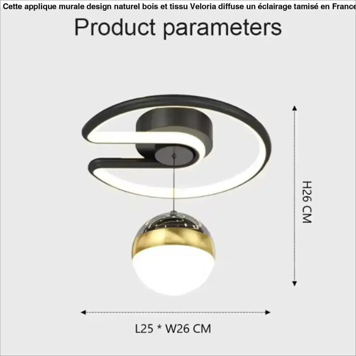 Plafonnier led design moderne noir et doré avec globe