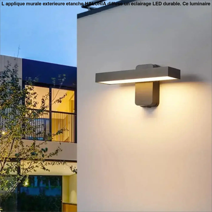 Applique Murale Extérieure Étanche Au Design Amovible