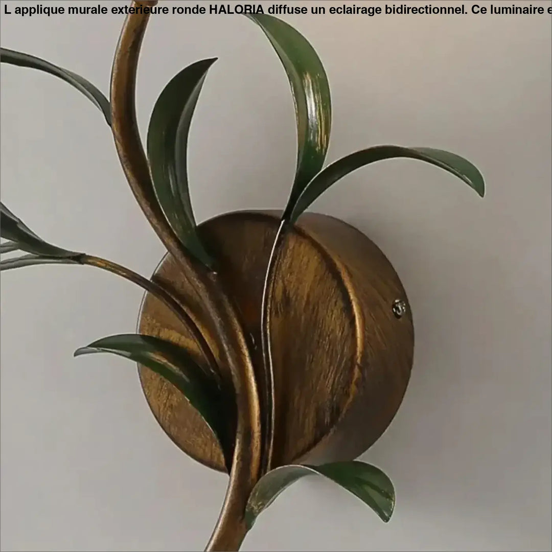 Applique murale florale dorée avec globe en verre blanc chic