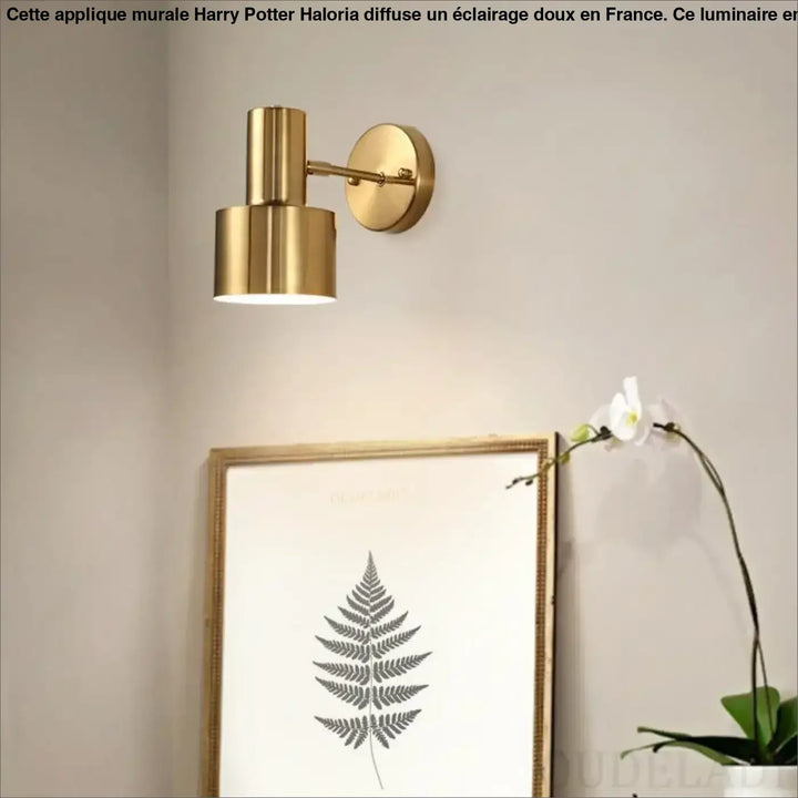 Applique murale harry potter en finition or avec abat-jour cylindrique et bras ajustable pour un éclairage élégant