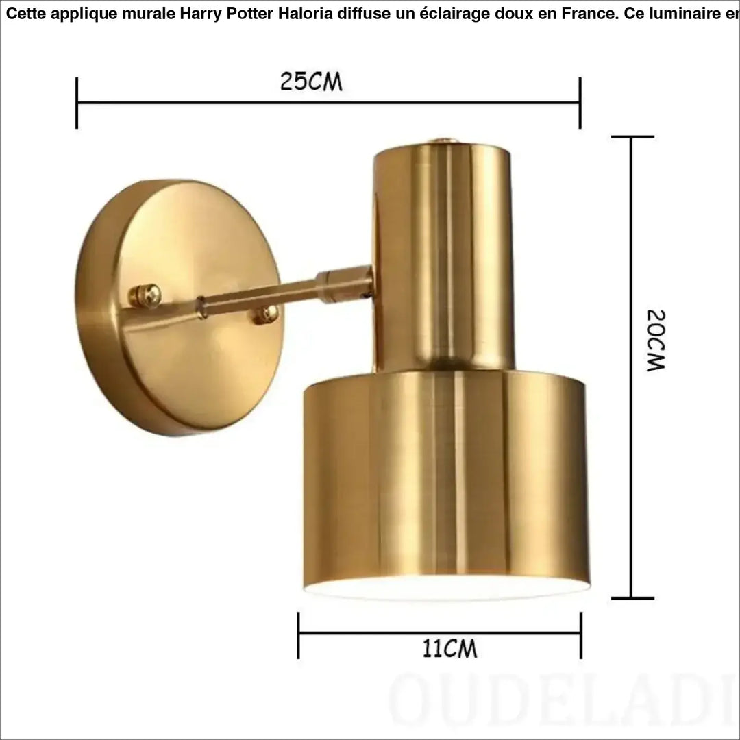 Applique murale harry potter en laiton finition or avec abat-jour cylindrique et bras ajustable pour éclairage élégant