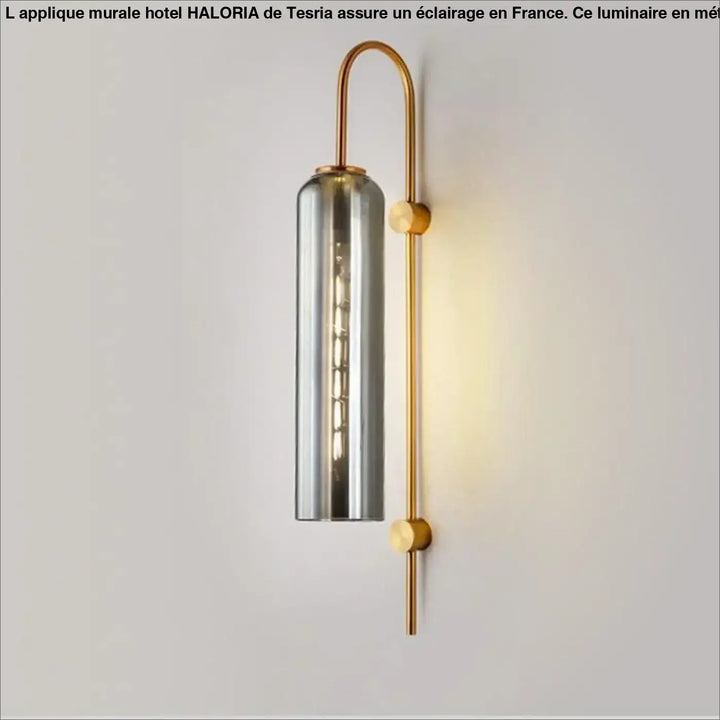Applique murale hotel haloria avec cadre incurvé en laiton et abat-jour cylindrique en verre fumé pour murale hotel moderne