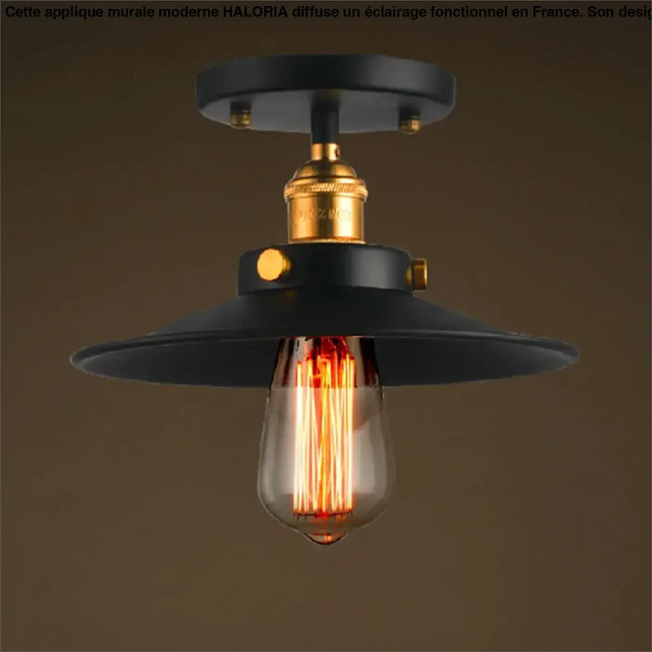 Luminaire plafonnier style industriel noir avec douille finition laiton et ampoule edison pour décoration intérieure