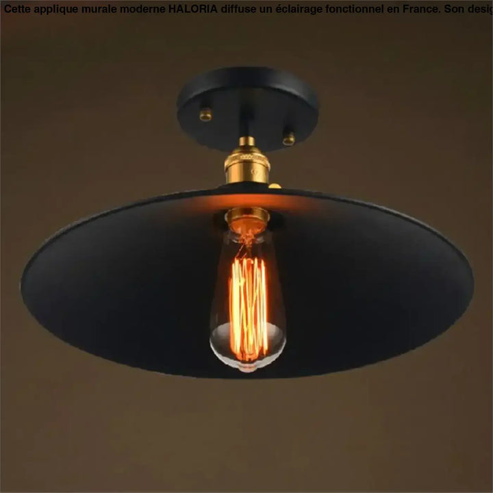 Luminaire plafonnier industriel noir avec douille finition laiton et ampoule edison exposée pour décoration intérieure style industriel