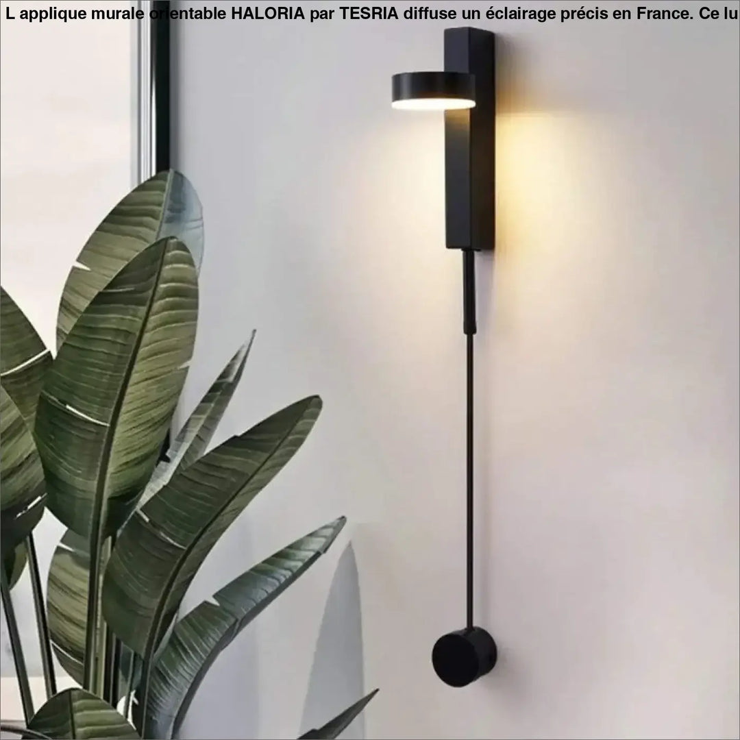 Applique Murale Orientable Design Lampadaire Noir