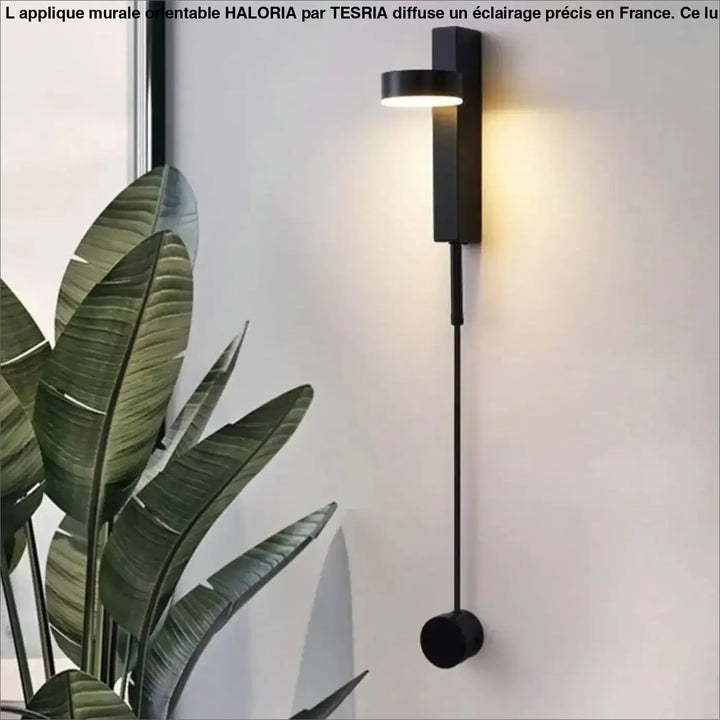 Applique Murale Orientable Design Lampadaire Noir