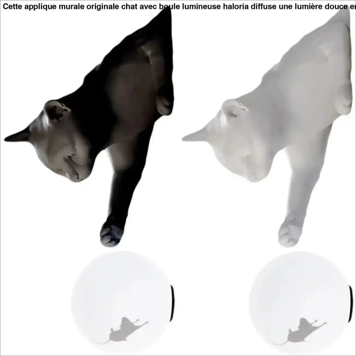 Applique Murale Originale Chat Avec Boule Lumineuse Élégant