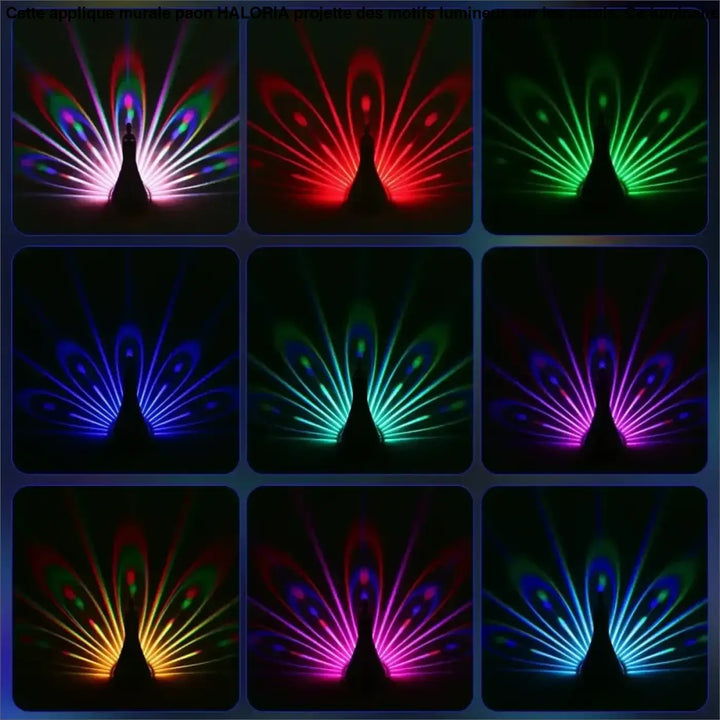 Applique murale paon noir en led projetant des motifs colorés éclatants rappelant les plumes d un paon