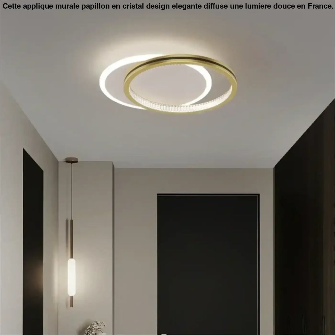 Luminaire Plafonnier LED Noir ou Doré avec Formes Différentes