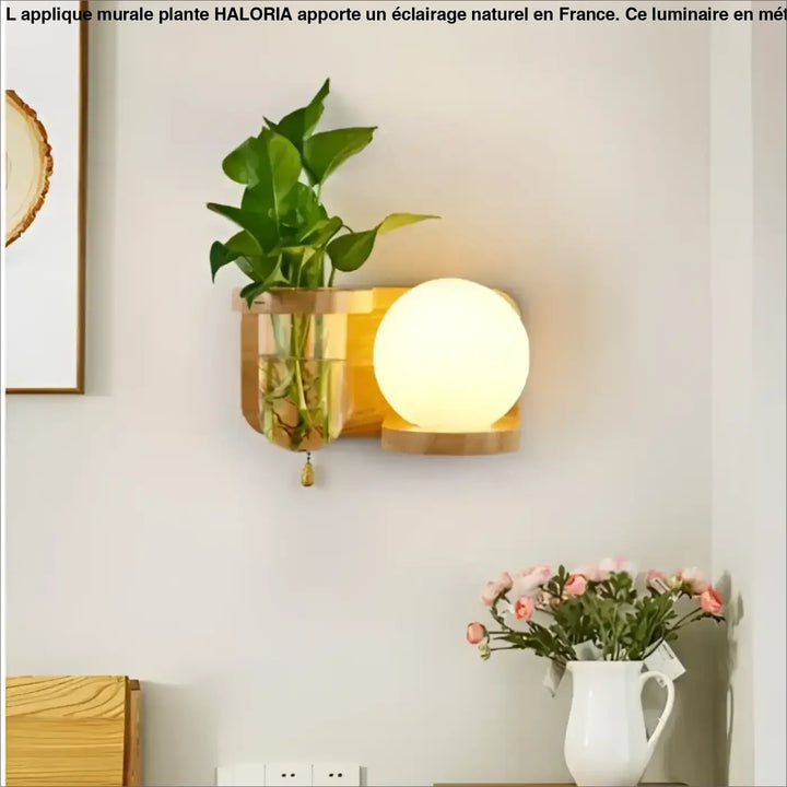 Applique murale plante haloria avec lampe moderne à ampoule sphérique chaude et vase en verre transparent avec feuillage vert