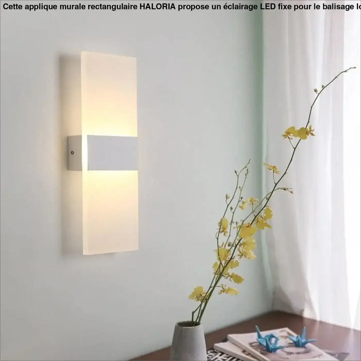 Applique Murale Rectangulaire LED Acrylique Noir Blanc