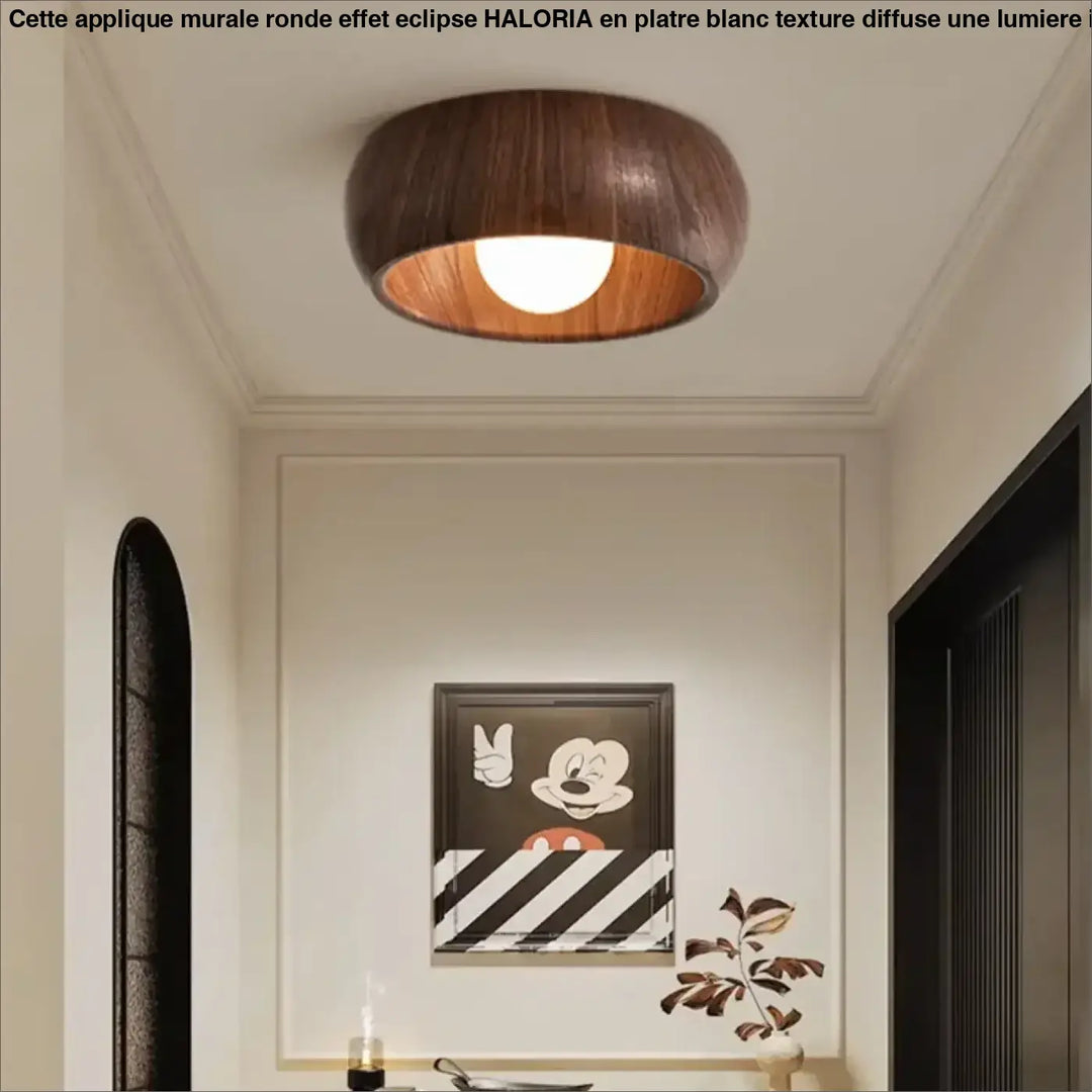 Plafonnier Rond En Bois Clair Et Foncé Pour Couloir

