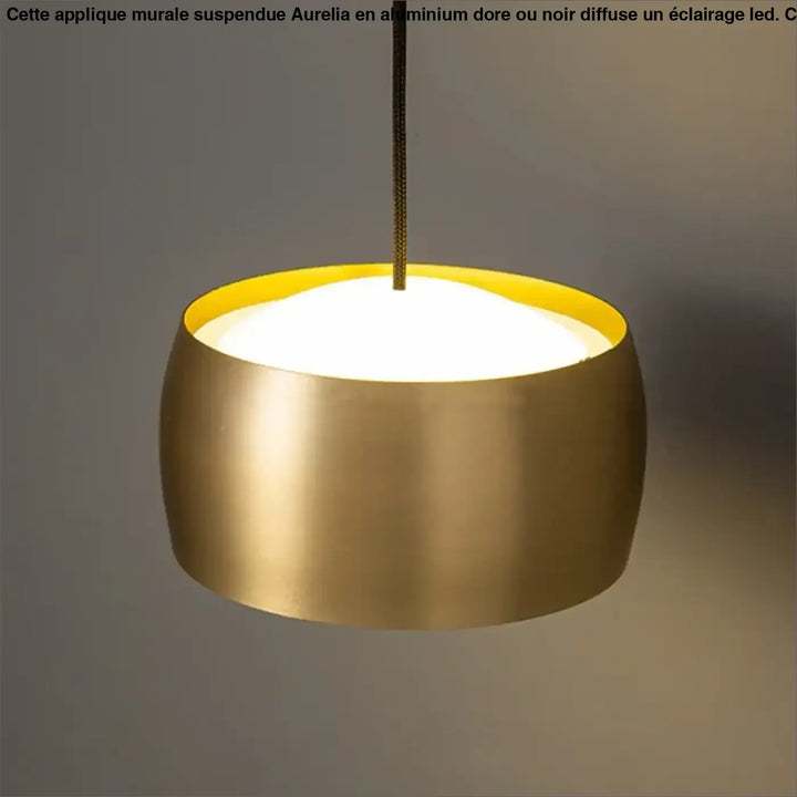 Applique Murale Suspendue À LED Design Horizontal