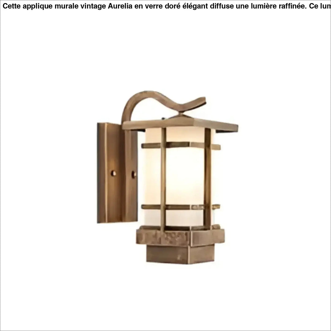 Luminaire extérieur style lanterne bronze avec finition texturée rustique et panneaux en verre dépoli frosted glass