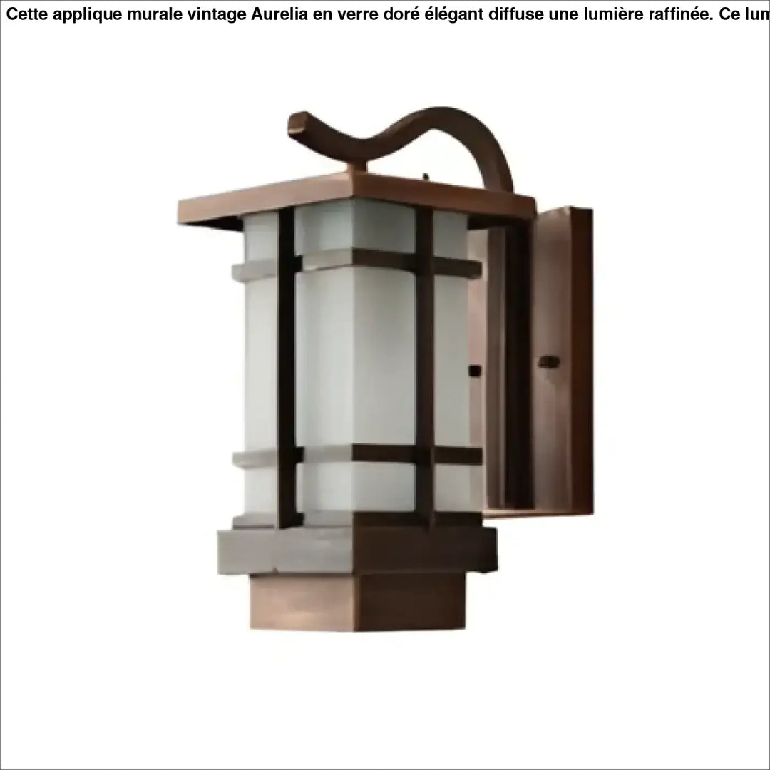 Luminaire extérieur style lanterne en cuivre avec panneaux en verre transparent et sommet incurvé par HIKARI