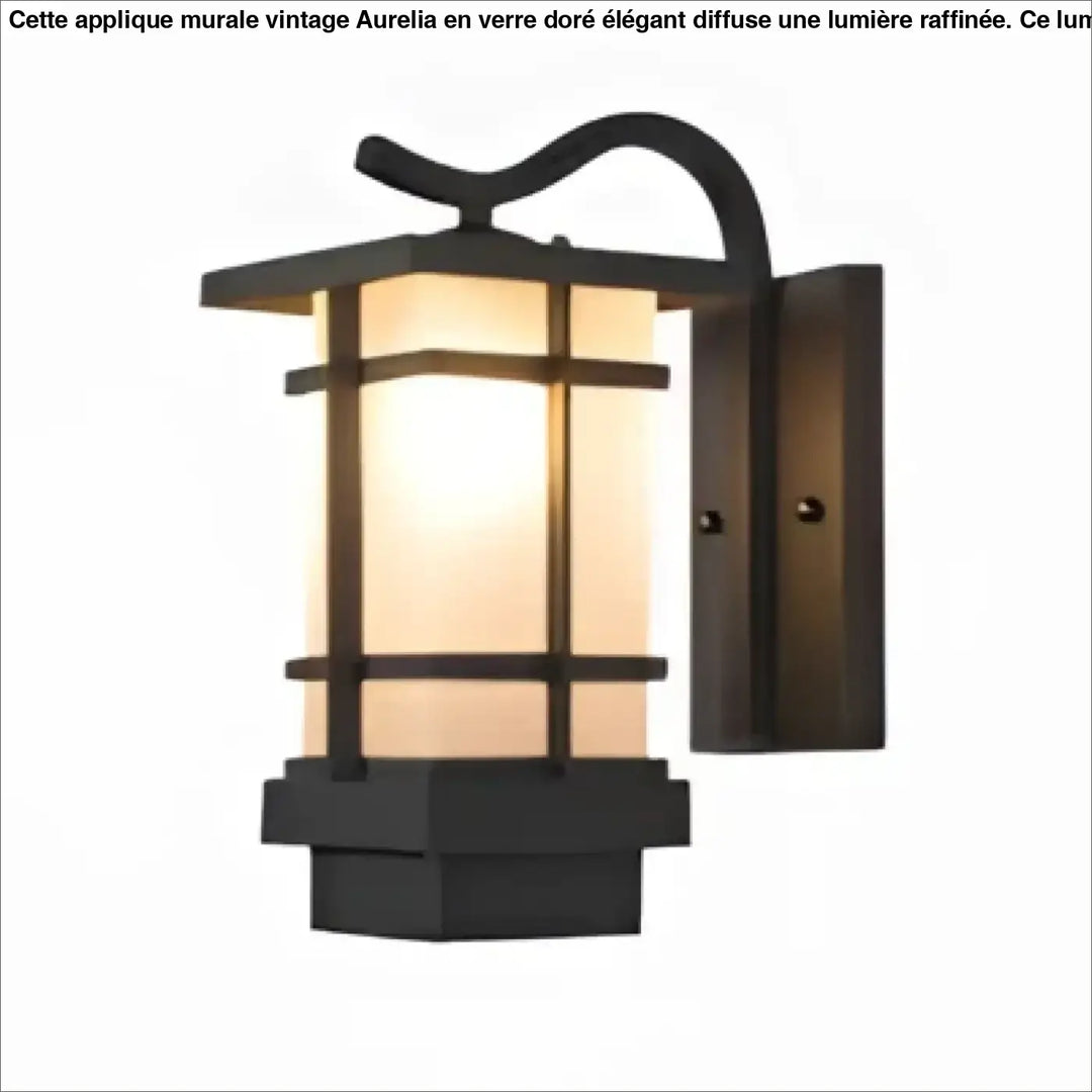 Luminaire extérieur style lanterne noir avec accents en bois et lumière chaude pour éclairage mural extérieur élégant
