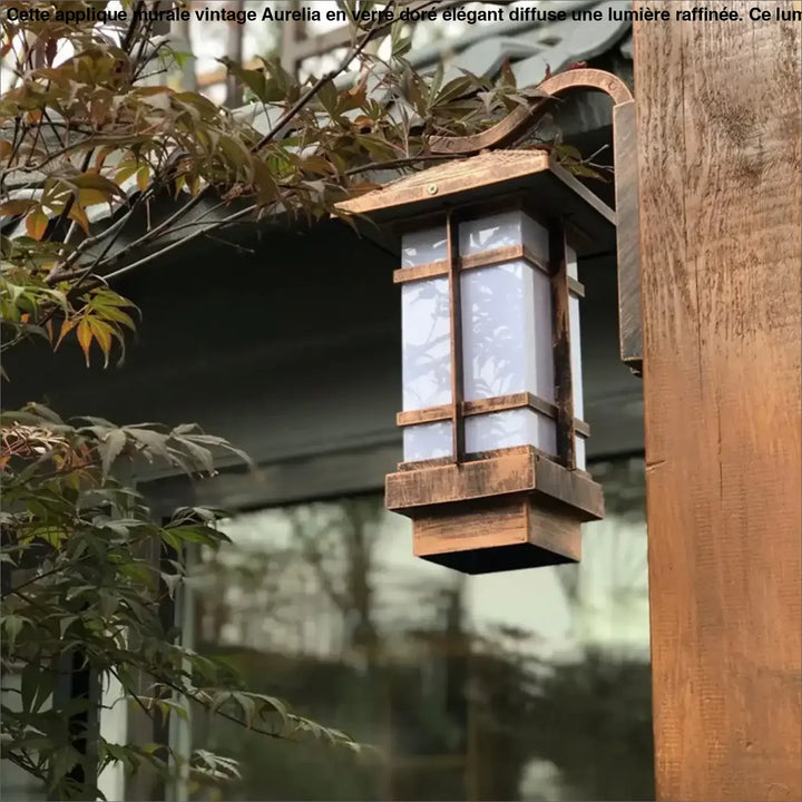 Rustic luminaire extérieur with translucent white glass panel and dark brown wooden frame in extérieur style lanterne design