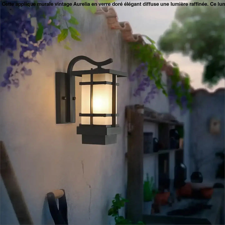 Luminaire extérieur noir en métal avec panneau en verre dépoli chaud et design de lanterne traditionnelle hikari