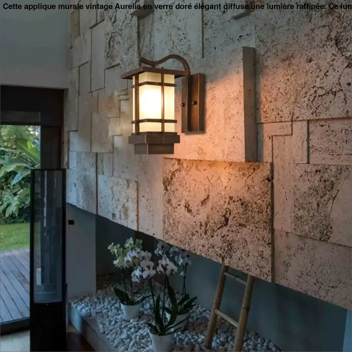 Luminaire extérieur style lanterne rustique en bronze foncé avec panneaux en verre givré monté au mur