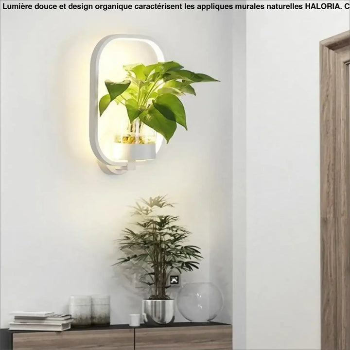 Applique murale naturelle blanche ovale avec porte-plante intégré et lumière chaude haloria