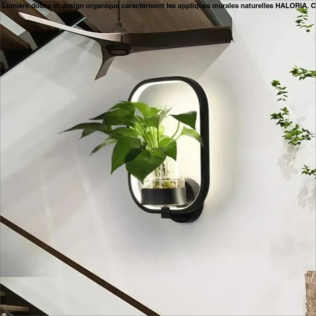 Applique murale naturelle noire avec éclairage led intégré et verre transparent contenant une plante verte