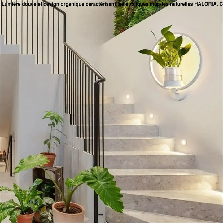 Applique murale naturelle circulaire blanche avec éclairage intégré et support plante pour décoration murale élégante