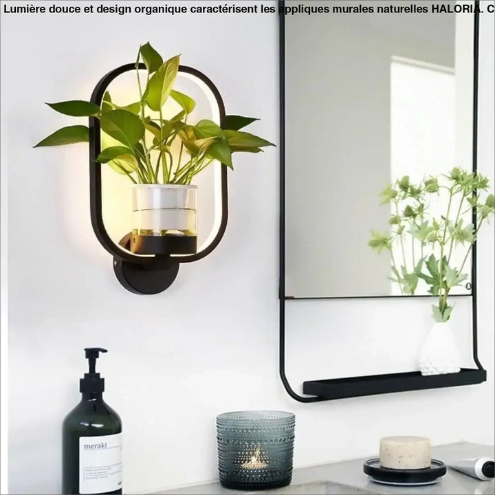 Applique murale naturelle noire avec éclairage intégré et plante verte en verre transparent haloria
