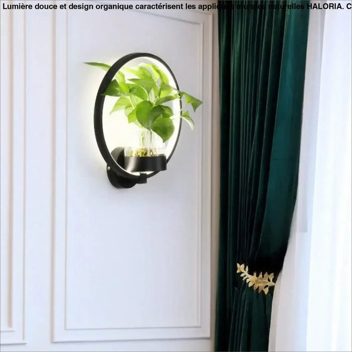 Applique murale naturelle noire avec éclairage led intégré et vase en verre transparent contenant une plante verte