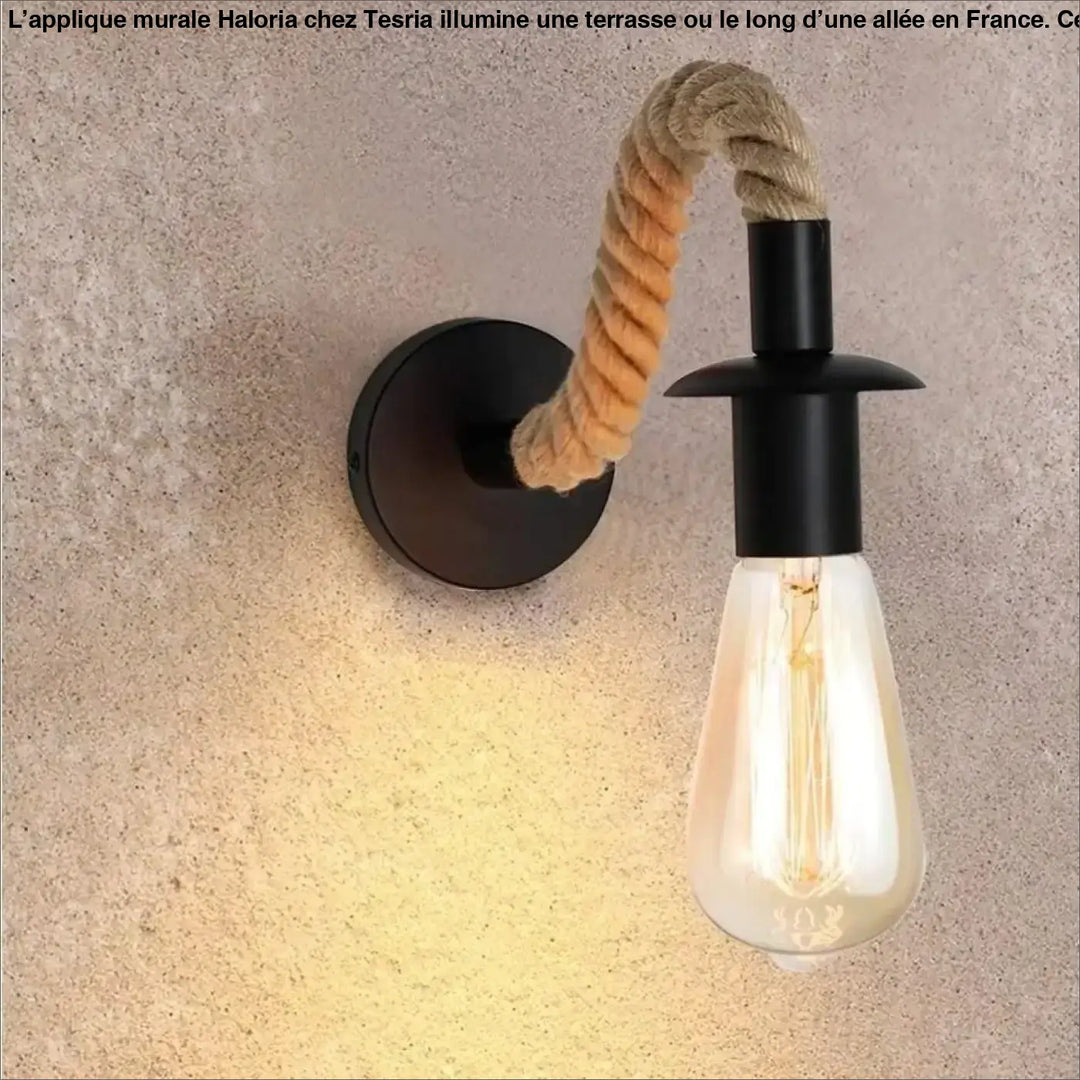 Luminaire extérieur industriel mural haloria avec base métal noir et corde beige torsadée pour éclairage long d’une allée
